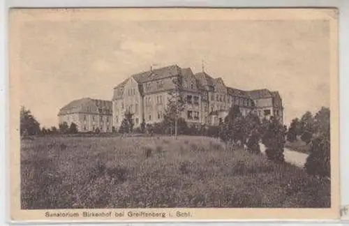 48714 Ak Sanatorium Birkenhof bei Greiffenberg in Schl.