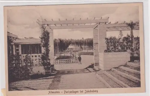 02509 Ak Allenstein Olsztyn Parkanlagen bei Jakobsberg 1919
