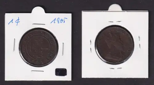 1 Cent Kupfer Münze Hongkong Edward VII 1905 ss (169680)
