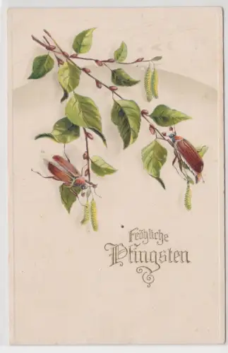 64197 Präge AK Fröhliche Pfingsten Birkenzweig mit Maikäfern