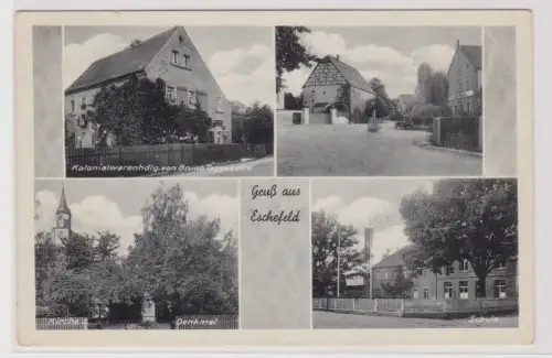 99686 AK Gruß aus Eschefeld - Kolonialwarenhandlung Bruno Taggeselle, Schule