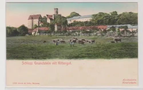 99188 handkolorierte AK Schloss Gnandstein mit Rittergut und Viehwirtschaft 