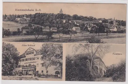 60753 Mehrbild Ak Hummelhain S.-A. Totale, Altes Schloss, Forsthaus 1921