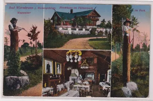 900539 AK Bad Warmbrunn (Cieplice Śląskie-Zdrój) - Blockhaus im Füttnerpark 1920