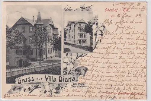 05349 Ak Gruß aus Villa Diana Oberhof in Thüringen 1903
