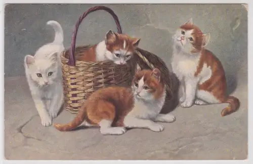 76464 Ak 4 Katzenkinder spielen mit Körbchen 1912