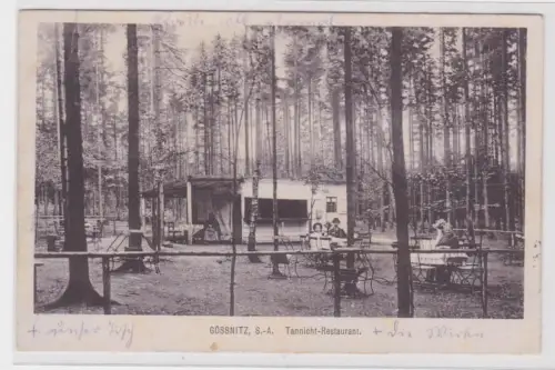 903428 Ak Gössnitz S.-A. Tannicht Restaurant 