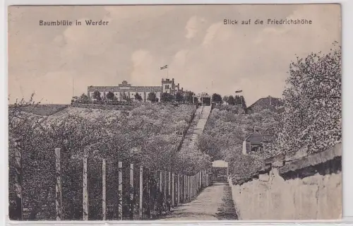 30860 Ak Baumblüte in Werder Blick auf die Friedrichshöhe 1923