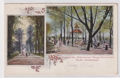 901008 Mehrbild AK Gruß von der "Strauchwiese" Park Nieder-Schönhausen 1905