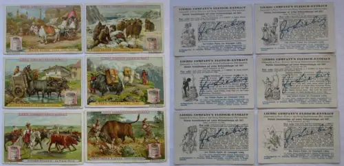 Liebigbilder Serie Nr. 377 Rinder-Rassen Jahrgang 1897 (4/165880)
