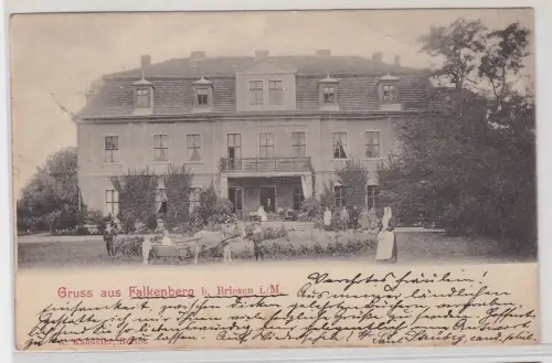 49185 Ak Gruß aus Falkenberg b. Briesen i./M., Gebäudeansicht, Gartenpartie 1908