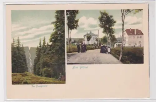 906451 Ak Grüna - Mehrbild, Im Gussgrund, Waldansicht um 1900
