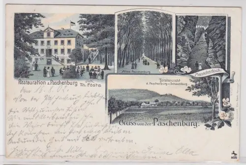 42454 AK Gruss von der Paschenburg - Meneckerloch, Allee, Restauration 1902
