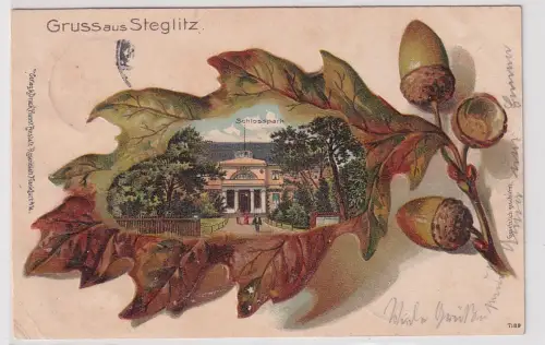 93792 geprägte Ak mit Eichenlaub Gruss aus Steglitz Schlosspark 1903