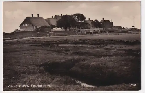 36848 Foto Ak Hallig Hooge Backenswarft 1931
