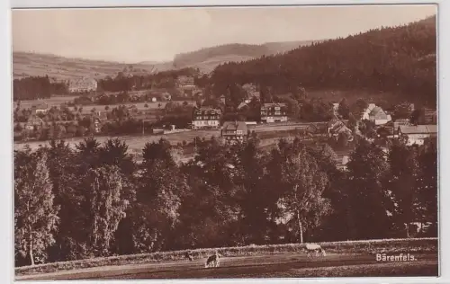 90934 Foto Ak Bärenfels Totalansicht um 1930