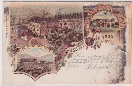 04227 Ak Lithographie Gruss aus dem Waldhaus bei Greiz 1898