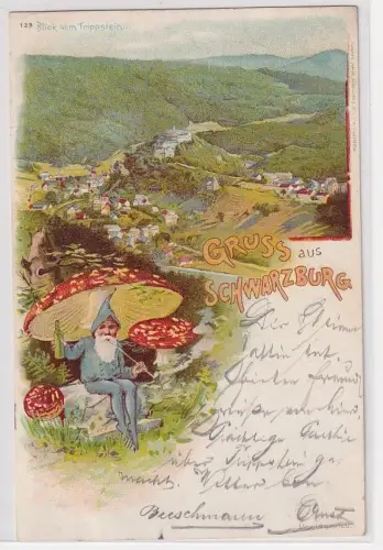 905663 Zwergen Ak Lithographie Gruss aus Schwarzburg 1898