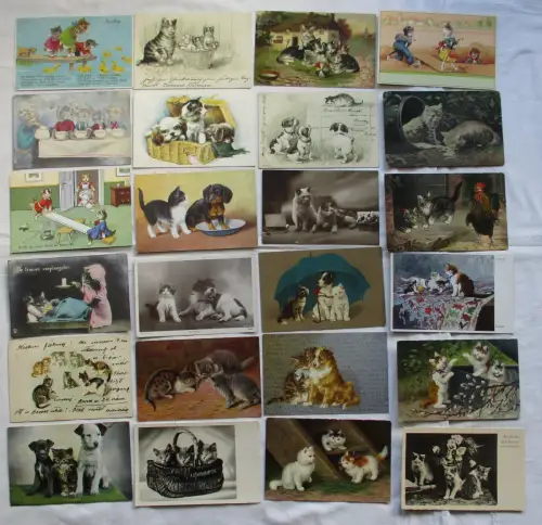 121863/100 hübsche Ak mit Katzen Motiven ab etwa 1910