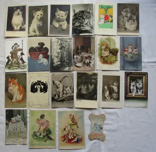 107169/70 hübsche Ak mit Katzen Motiven ab etwa 1910