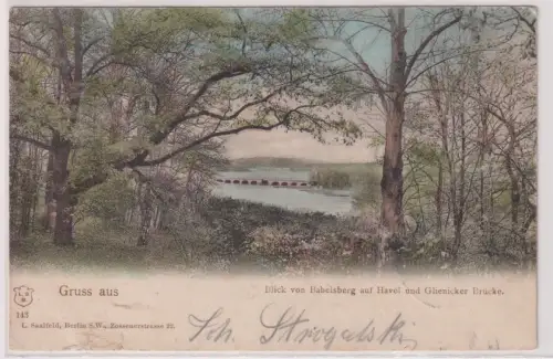 33642 Ak Blick vom Babelsberg auf Havel und Glienicker Brücke 1899