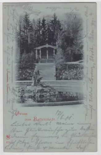 19832 Ak  Gruss aus Ballenstedt. Schlosapart.  1901