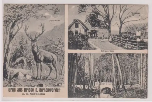 907733 Mehrbild Ak Gruß aus Briese b. Birkenwerder a.d. Nordbahn 1923