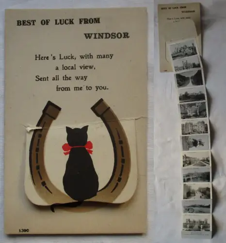 03111 Leporello Ak Luck from Windsor mit Hufeisen und Katze um 1930