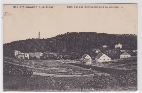 63940Ak Bad Freienwalde a.d.Oder.Blick auf das Brunnental und Aussichtsturm.1924