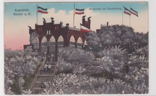 25699 Ak Baumblüte Werder a.H. Restaurant zur Wachtelburg um 1915