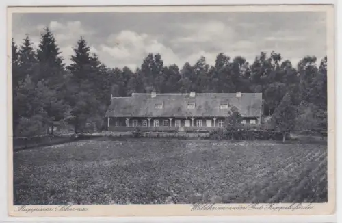 38460 Ak Ruppiner Schweiz Waldheim von Gut Zippelsförde 1930