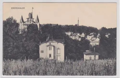 13589 Ak Eberswalde -Panoramaansicht 1911