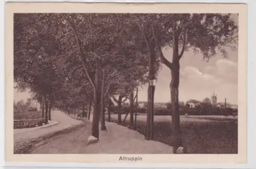 18206 Ak Altruppin.  Ländliche Straße, gesäumt von hohen Bäumen. um 1940