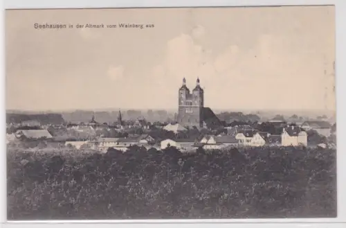 904171 Ak Seehausen in der Altmark vom Weinberg aus. um 1940