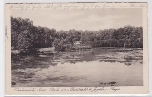 13878 Ak Fürstenwalde, Spree, Partie im Stadtwald b. Jagdhaus Fluger. 1929