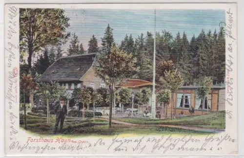 28611 Ak Forsthaus Hayn bei Oybin. 1900