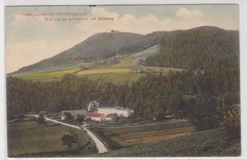 52578 Ak Habelschwerdt-Wölfelsgrund.Blick auf die Urnitzmühle und Spitzberg.1913