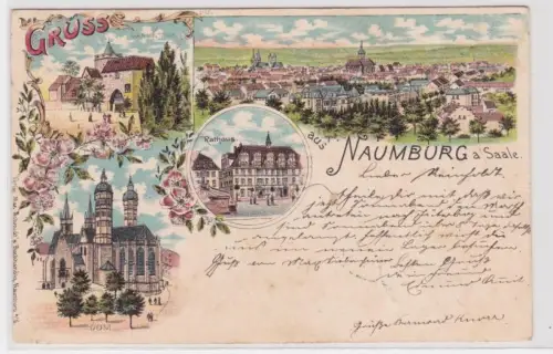 48396 Ak Lithographie Gruß aus Naumburg an der Saale 1901