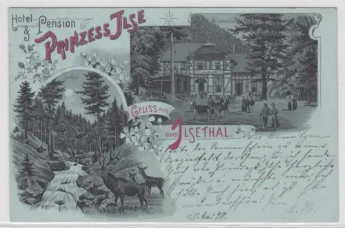 97256 Mondscheinkarte Gruß aus dem Ilsethal Hotel & Pension Prinzess Ilse 1898
