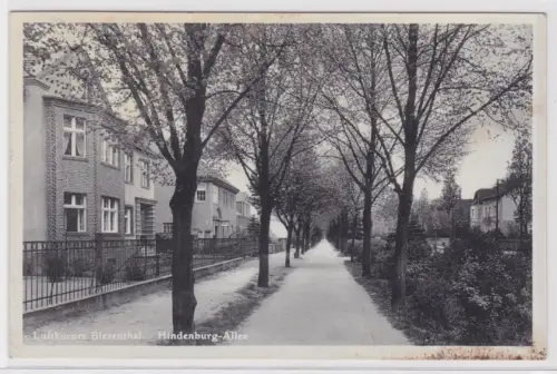 902941 AK Luftkurort Biesenthal. Hindenburg-Allee. 1937