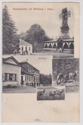 53807 Ak Josephshöhe bei Stolberg i. Harz. Auerberg. 1899