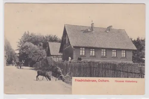 24848 Ak Friedrichsbrunn, Ortharz. Försterei Klobenberg. um 1920