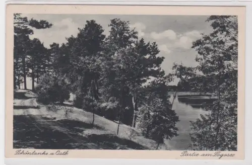 65564 Ak Schönlanke a. Ostb. Partie am Logosee. 1932