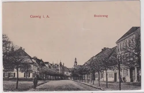 904835 Ak Coswig in Anhalt Breiteweg 1907