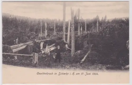 71509 Ak  Gewitterbruch in Schierke i. H. am 17. Juni 1904. um 1910