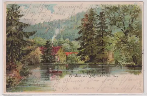 57016  Ak Gruss aus Christianental. I/Harz. Burgstraße. 1906