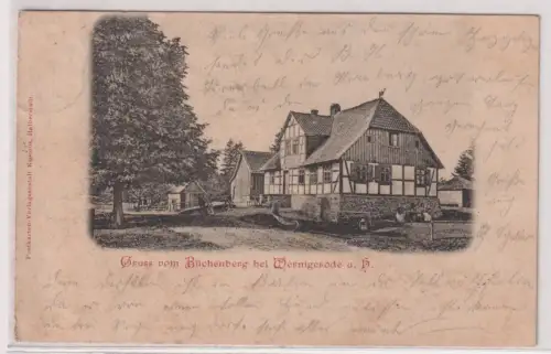 67212 Ak Gruss vom Büchenberg bei Wernigerode a. H. 1899