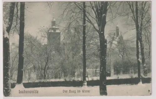 908017 Ak Luckenwalde. Der Haag im Winter. 1917
