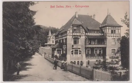 904981 Ak Bad Sachsa, Harz - Eulingswiese . um 1920