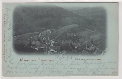 23529 Ak Gruss aus Treseburg. Blick vom weissen Hirsch. 1998